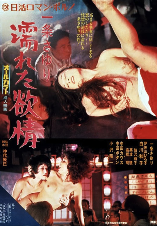 Roman Erotic Porn - Nostalgic erotic: Retro Pinku Eiga, Roman Porno Posters ...